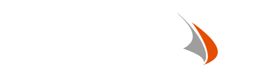 logo valuebiz